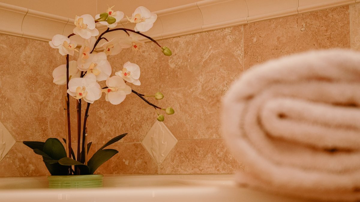 comment s'occuper d'une orchidée - IMG de garde