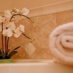 comment s'occuper d'une orchidée - IMG de garde
