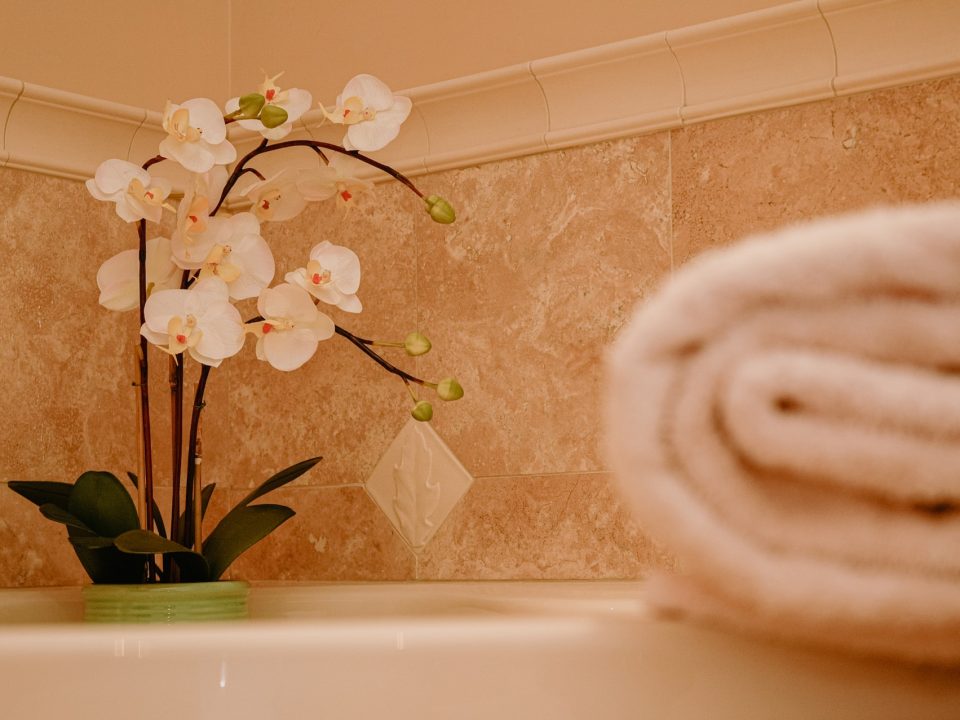 comment s'occuper d'une orchidée - IMG de garde