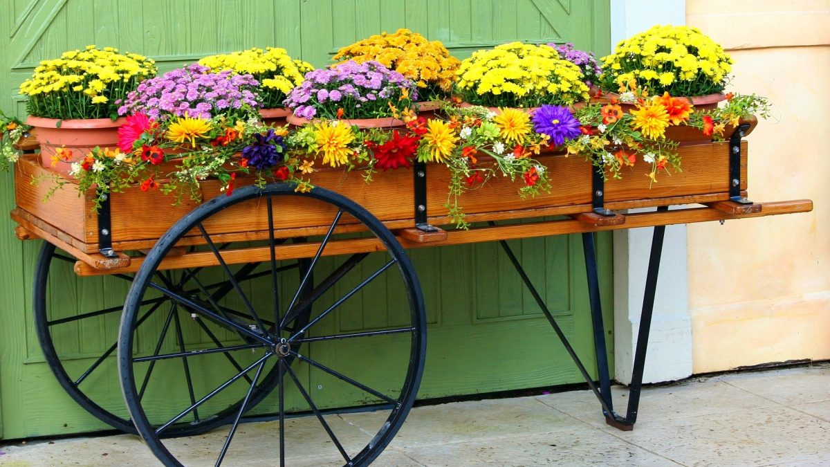 decoration exterieur jardin - IMG de garde