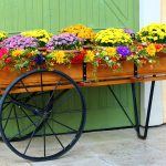 decoration exterieur jardin - IMG de garde