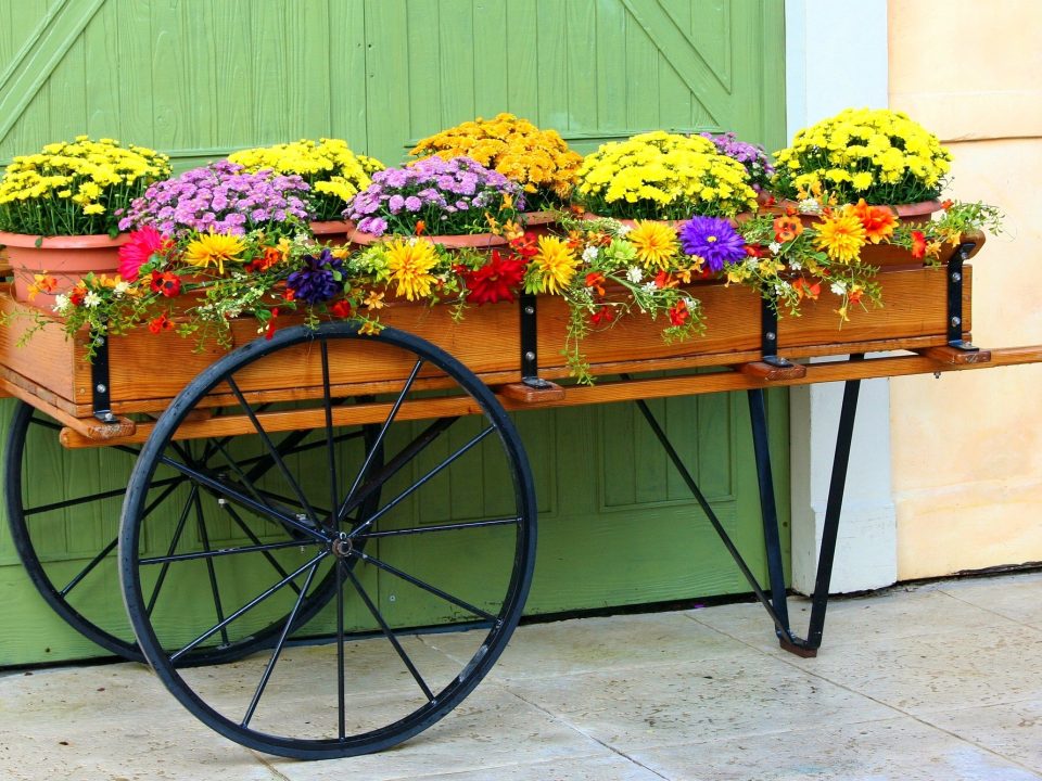 decoration exterieur jardin - IMG de garde