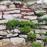 mur de soutenement jardin - IMG de garde