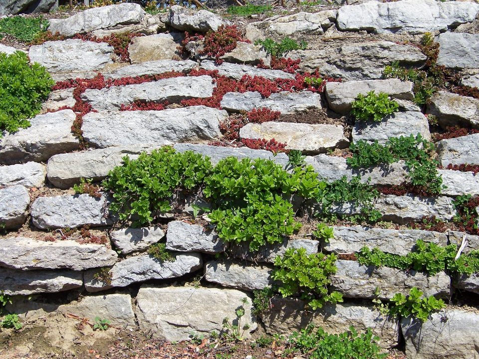 mur de soutenement jardin - IMG de garde