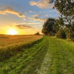 Terrain agricole non constructible