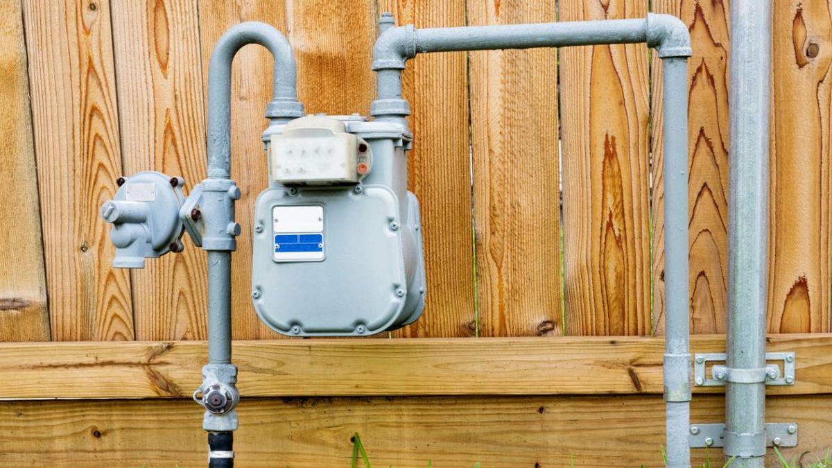 raisons d'utiliser un système d'assainissement écologique