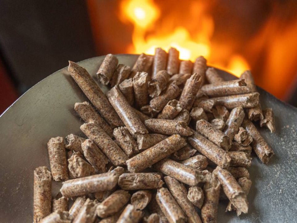 Bien choisir ses granulés de bois