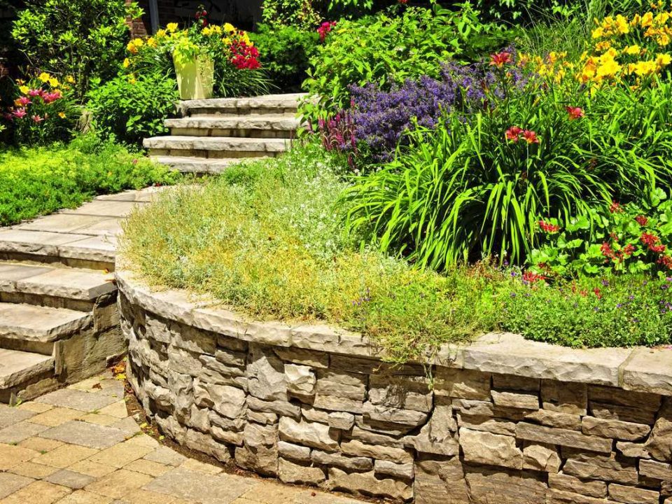 un escalier dans un jardin en pente