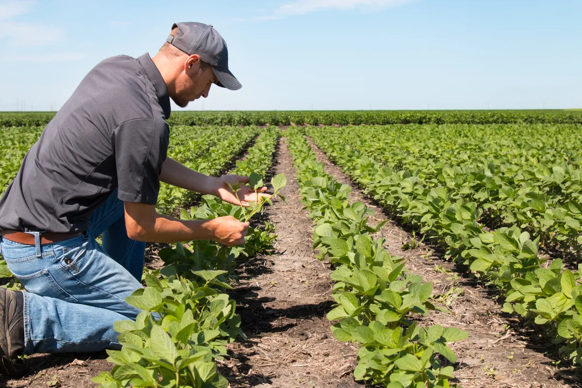 Virements Crédit Agricole : montants maximums autorisés