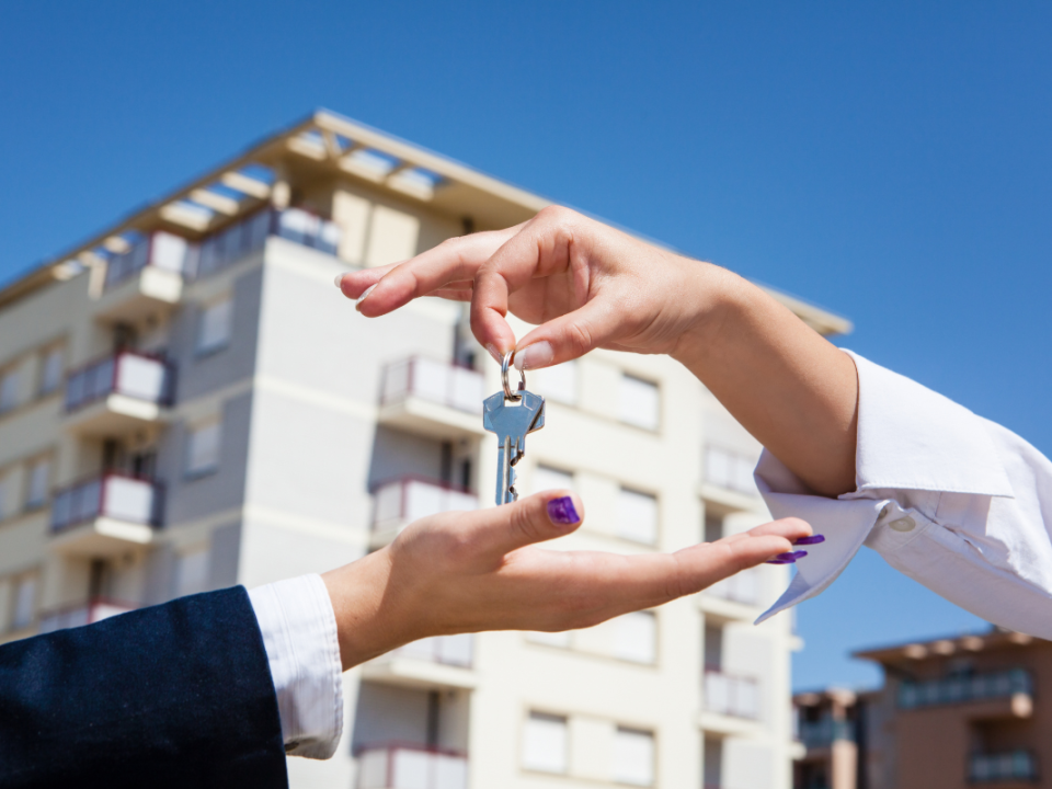 Recherche de logement express : stratégies efficaces