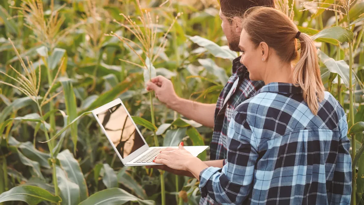 Virements Crédit Agricole : montants maximums autorisés