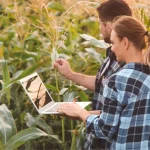 Virements Crédit Agricole : montants maximums autorisés