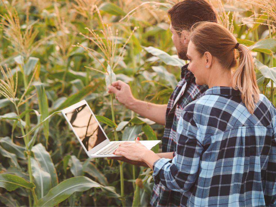 Virements Crédit Agricole : montants maximums autorisés